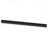 2.54 mm Female Pin Header 40p