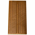 Prototyping Board (50 x 95 mm)